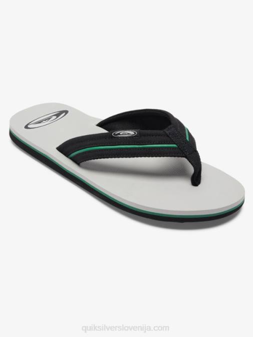 Quiksilver PJ4H1294 moški siva 1 sandali molokai layback saturn