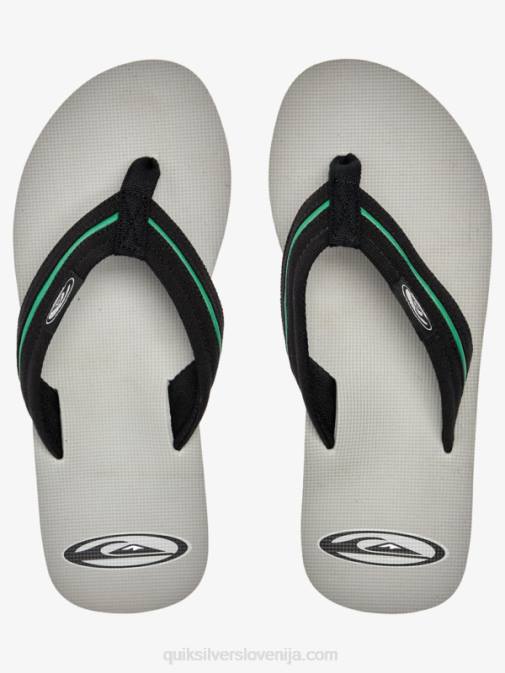 Quiksilver PJ4H1294 moški siva 1 sandali molokai layback saturn