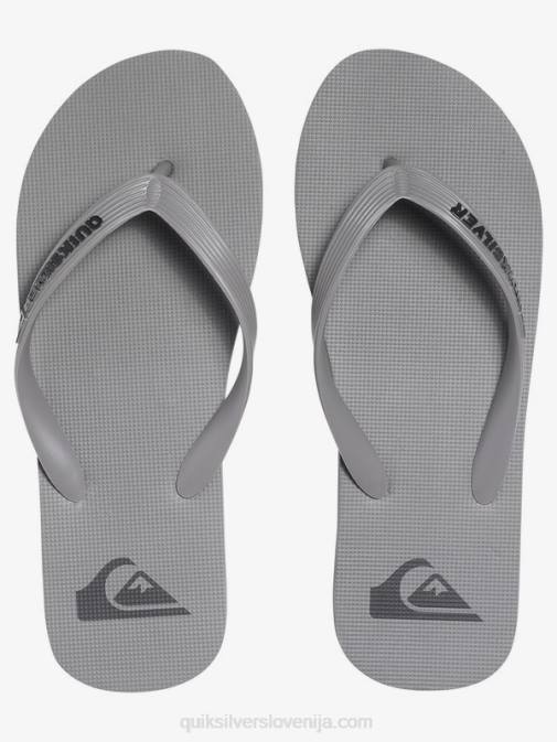 Quiksilver PJ4H1590 moški siva molokai japonke