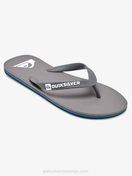 Quiksilver PJ4H1592 moški siva 3 molokai japonke