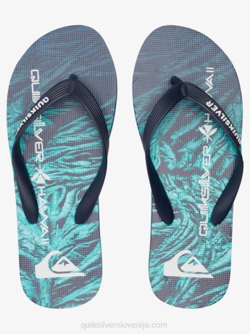 Quiksilver PJ4H1861 moški zelena 1 molokai domače japonke