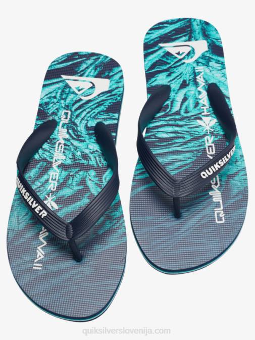 Quiksilver PJ4H1861 moški zelena 1 molokai domače japonke