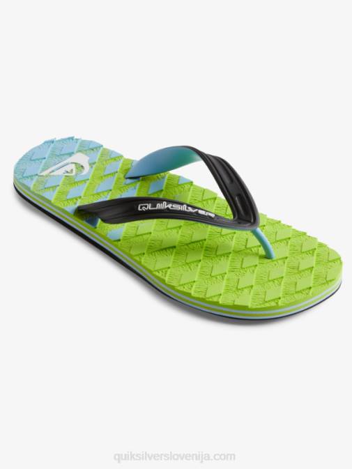 Quiksilver PJ4H748 moški zelena 1 oahuey sandali