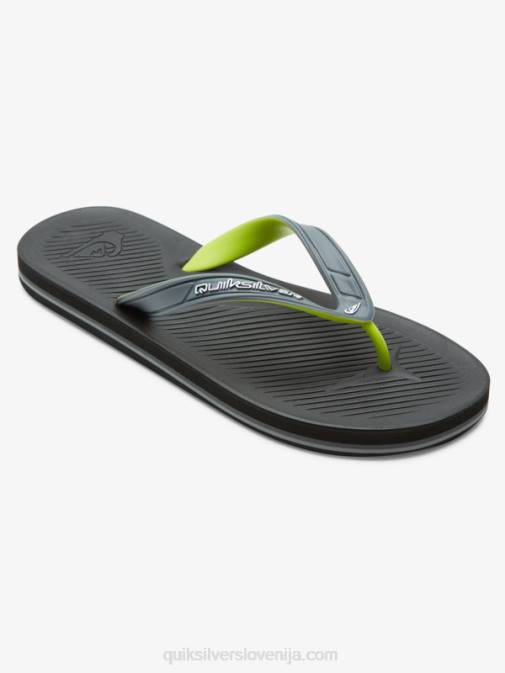 Quiksilver PJ4H953 moški siva 1 japonke haleiwa core