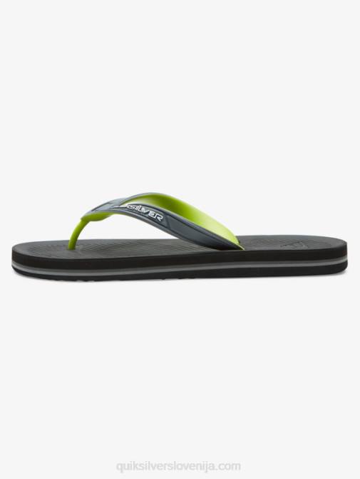 Quiksilver PJ4H953 moški siva 1 japonke haleiwa core