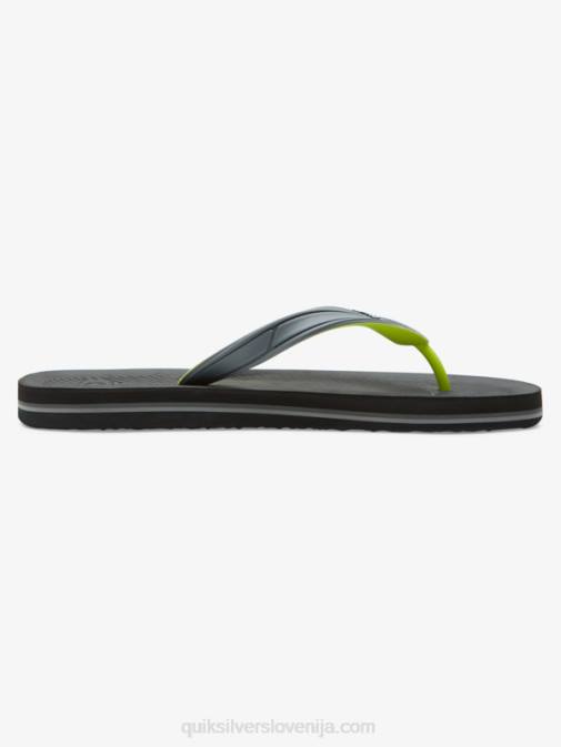 Quiksilver PJ4H953 moški siva 1 japonke haleiwa core