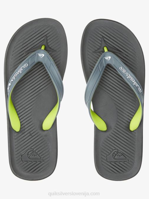 Quiksilver PJ4H953 moški siva 1 japonke haleiwa core