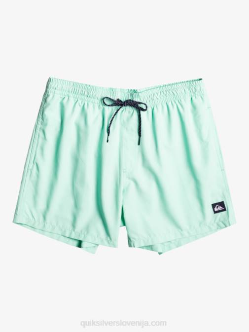 Quiksilver PJ4H1919 fantje kozarec za plažo 8-16 vsak dan 15 volejev