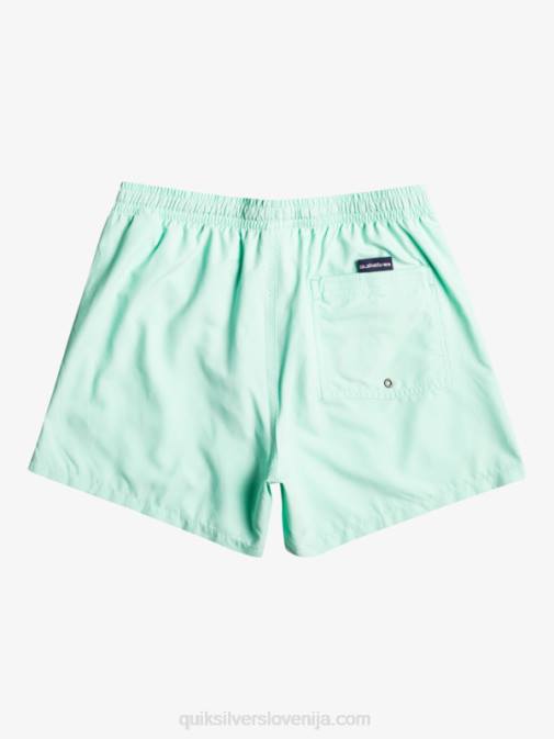 Quiksilver PJ4H1919 fantje kozarec za plažo 8-16 vsak dan 15 volejev