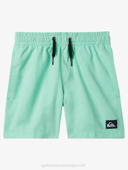 Quiksilver PJ4H1999 fantje kozarec za plažo 2-7 vsak dan 12 volejev