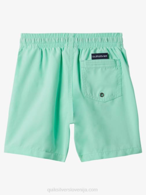 Quiksilver PJ4H1999 fantje kozarec za plažo 2-7 vsak dan 12 volejev