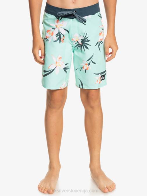 Quiksilver PJ4H2140 fantje kozarec za plažo 8-16 vsakodnevne kratke hlače qs 69 16