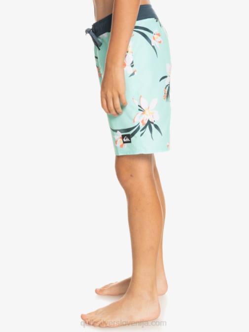 Quiksilver PJ4H2140 fantje kozarec za plažo 8-16 vsakodnevne kratke hlače qs 69 16