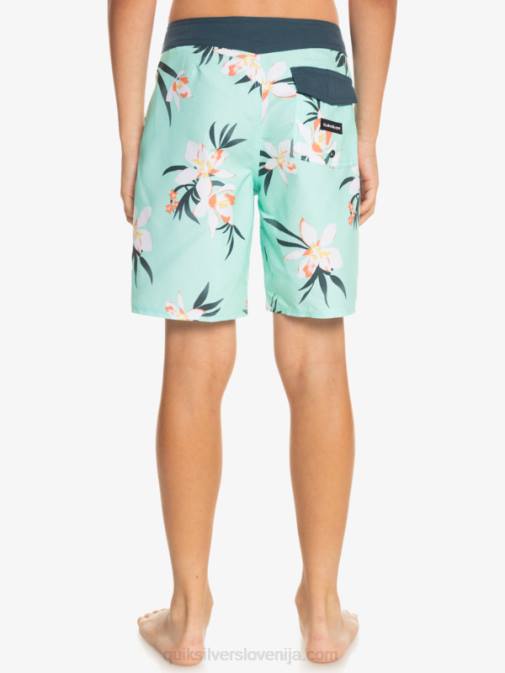 Quiksilver PJ4H2140 fantje kozarec za plažo 8-16 vsakodnevne kratke hlače qs 69 16