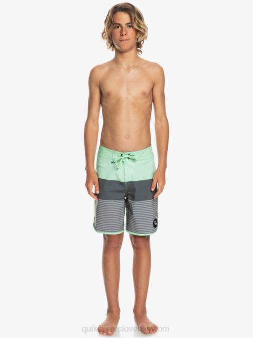 Quiksilver PJ4H2267 fantje železna vrata 8-16 surfsilk tijuana yth 17 kratke hlače za desko