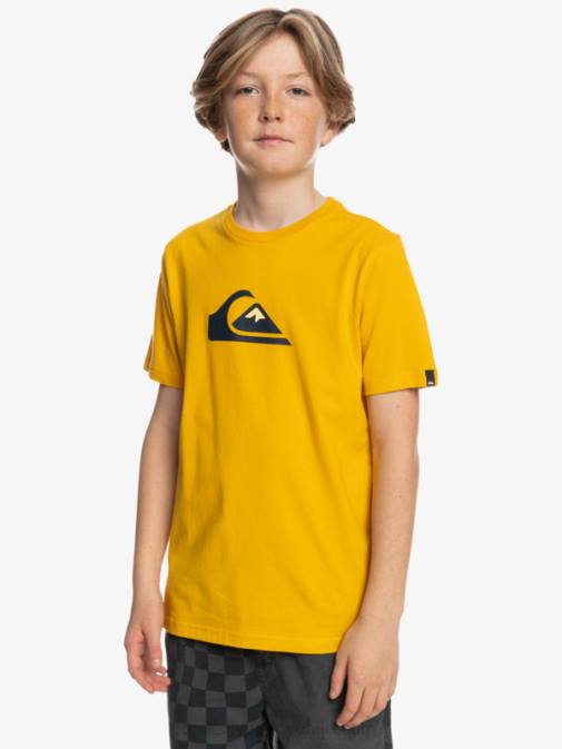 Quiksilver PJ4H2316 fantje zlata palica logo comp - majica s kratkimi rokavi