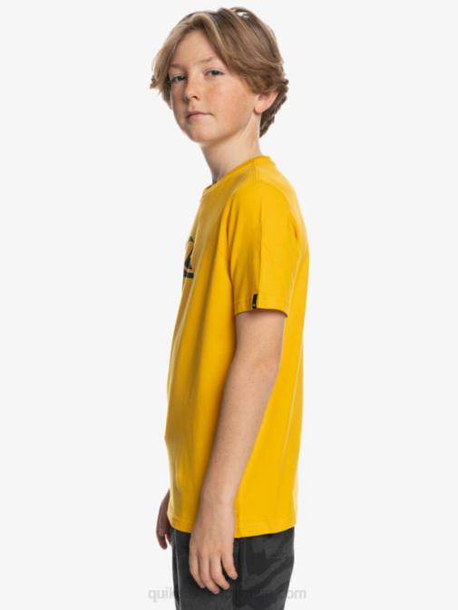 Quiksilver PJ4H2316 fantje zlata palica logo comp - majica s kratkimi rokavi