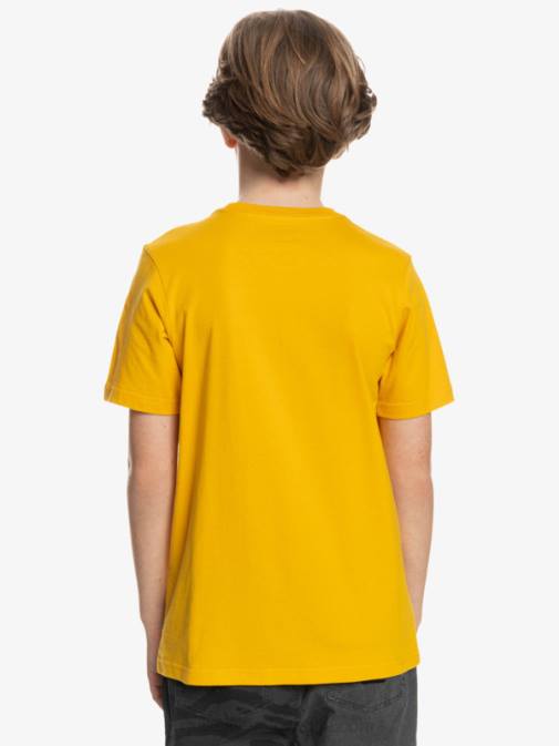 Quiksilver PJ4H2316 fantje zlata palica logo comp - majica s kratkimi rokavi