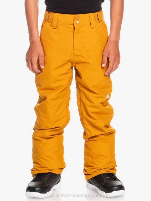 Quiksilver PJ4H2293 fantje rakitovsko rjava Snežne hlače 8-16 Estate