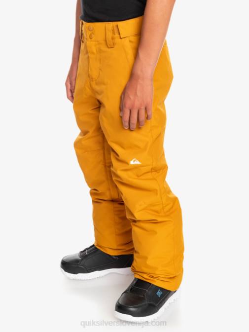 Quiksilver PJ4H2293 fantje rakitovsko rjava Snežne hlače 8-16 Estate