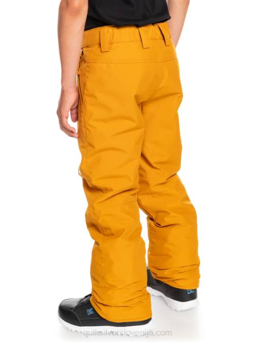 Quiksilver PJ4H2293 fantje rakitovsko rjava Snežne hlače 8-16 Estate