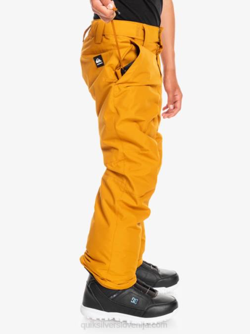 Quiksilver PJ4H2293 fantje rakitovsko rjava Snežne hlače 8-16 Estate