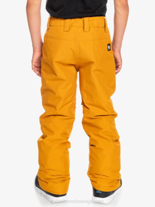 Quiksilver PJ4H2293 fantje rakitovsko rjava Snežne hlače 8-16 Estate
