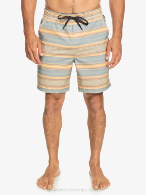 Quiksilver PJ4H104 moški plaza taupe surf days stripe taxer print 18 amphibian boardshorts