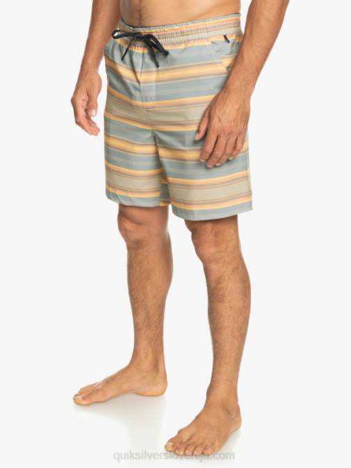 Quiksilver PJ4H104 moški plaza taupe surf days stripe taxer print 18 amphibian boardshorts