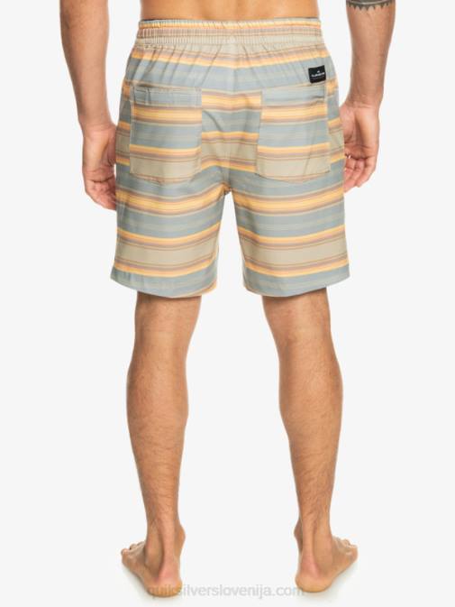 Quiksilver PJ4H104 moški plaza taupe surf days stripe taxer print 18 amphibian boardshorts