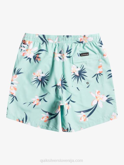 Quiksilver PJ4H1211 moški kozarec za plažo vsakdanji mix 17 volejev
