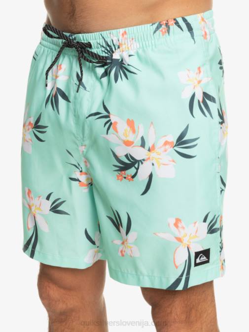 Quiksilver PJ4H1211 moški kozarec za plažo vsakdanji mix 17 volejev