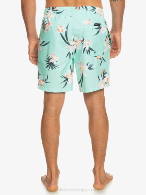 Quiksilver PJ4H1211 moški kozarec za plažo vsakdanji mix 17 volejev