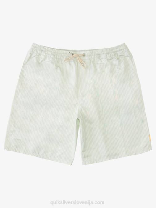 Quiksilver PJ4H1843 moški subtilna zelena črta krova waterman deck stripe 19 volleys