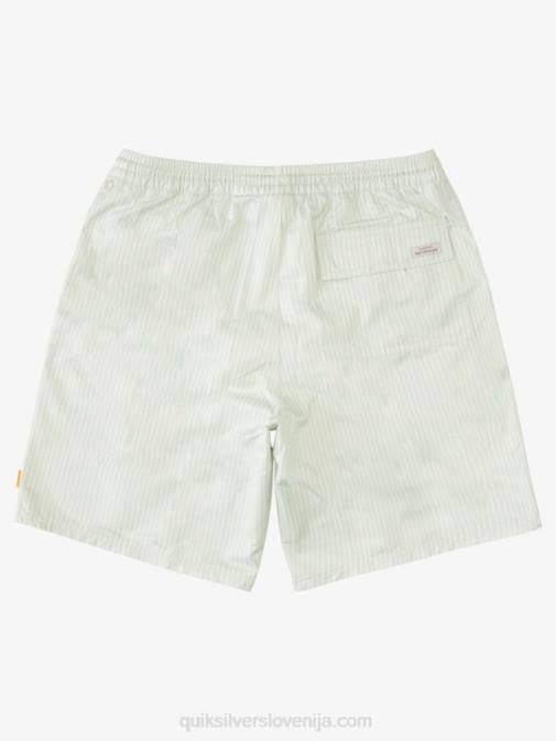 Quiksilver PJ4H1843 moški subtilna zelena črta krova waterman deck stripe 19 volleys