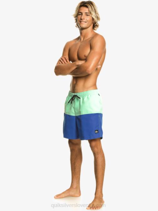 Quiksilver PJ4H485 moški dihalka modra zadnjica logotip 17 volejev