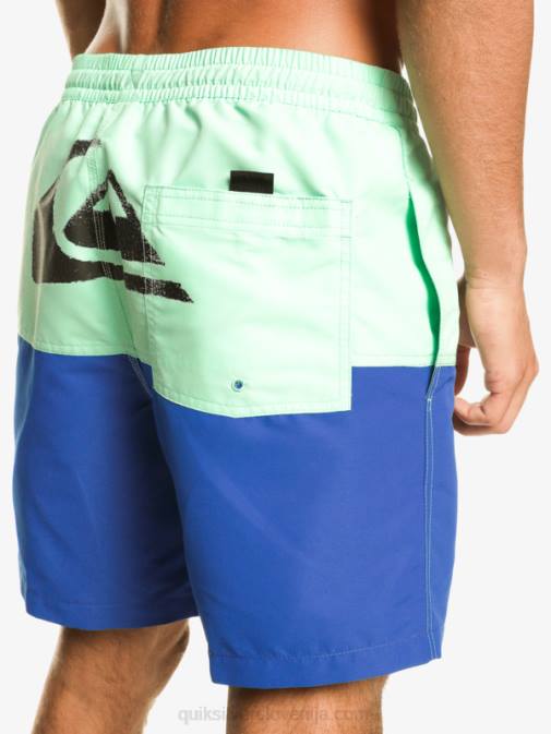 Quiksilver PJ4H485 moški dihalka modra zadnjica logotip 17 volejev