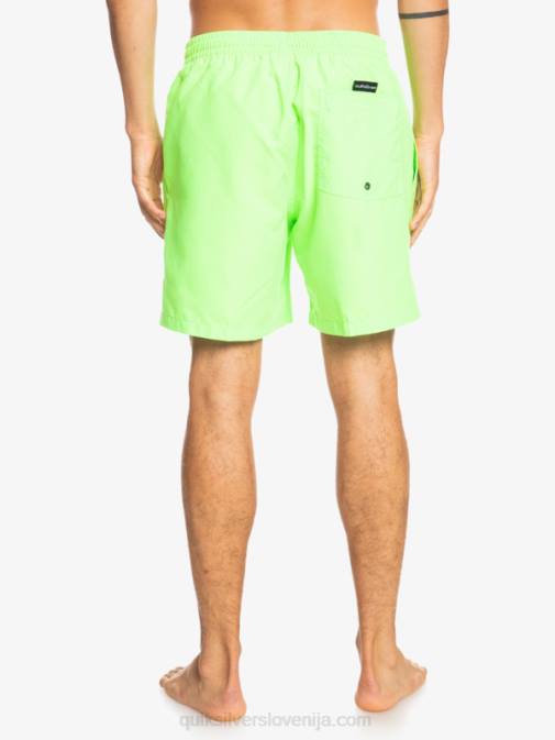 Quiksilver PJ4H621 moški zeleni gekon vsak dan 17 volejev