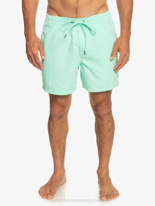 Quiksilver PJ4H702 moški kozarec za plažo vsakdanji vert 16 volejev