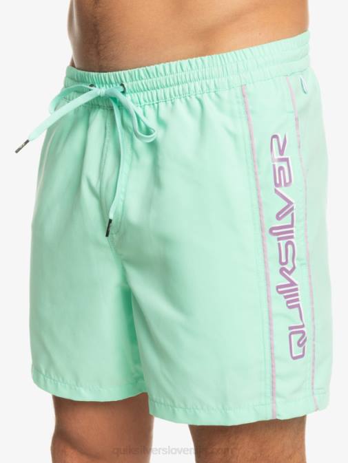 Quiksilver PJ4H702 moški kozarec za plažo vsakdanji vert 16 volejev