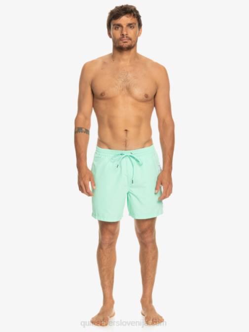 Quiksilver PJ4H702 moški kozarec za plažo vsakdanji vert 16 volejev