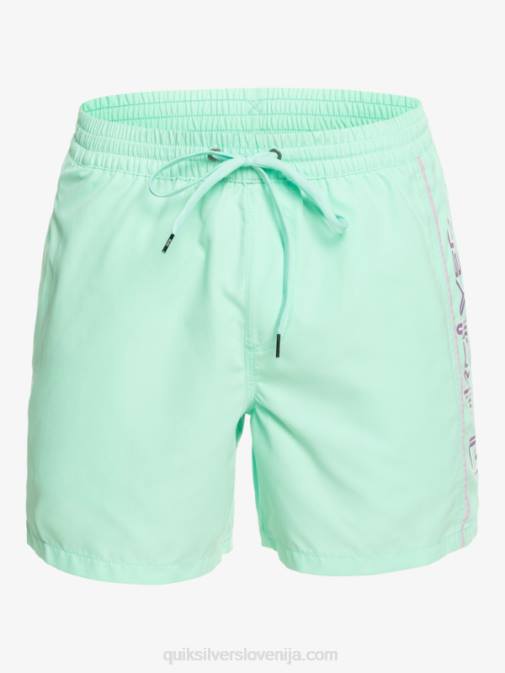 Quiksilver PJ4H702 moški kozarec za plažo vsakdanji vert 16 volejev