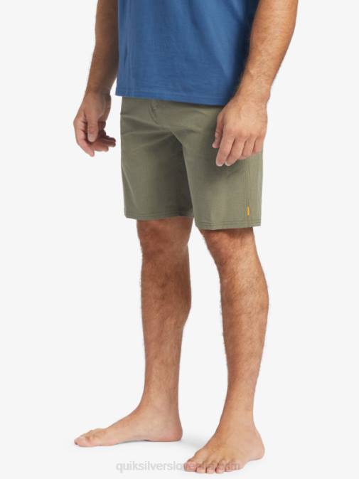 Quiksilver PJ4H782 moški prašna oliva Waterman suva 20 amphibian boardshorts