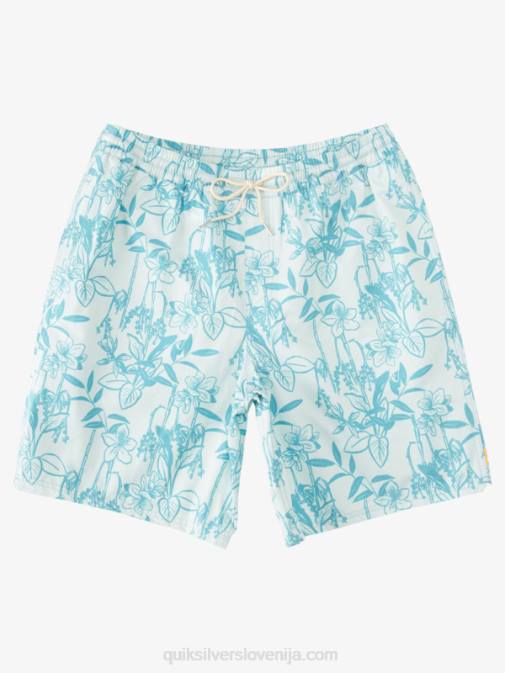 Quiksilver PJ4H939 moški subtilne zelene looseways vy waterman loose ways 17 volejev