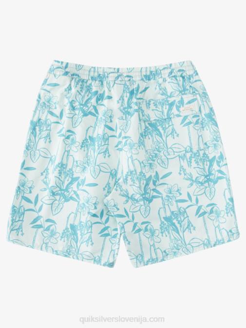 Quiksilver PJ4H939 moški subtilne zelene looseways vy waterman loose ways 17 volejev