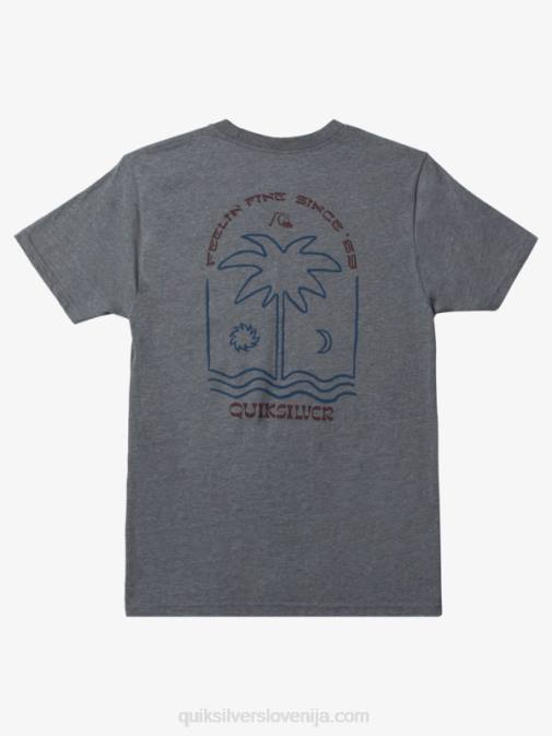 Quiksilver PJ4H1072 moški srednje siva vresa nova majica take mod