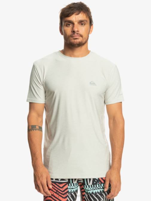 Quiksilver PJ4H1329 moški sivo vijolično vresje majica obalnega tekača