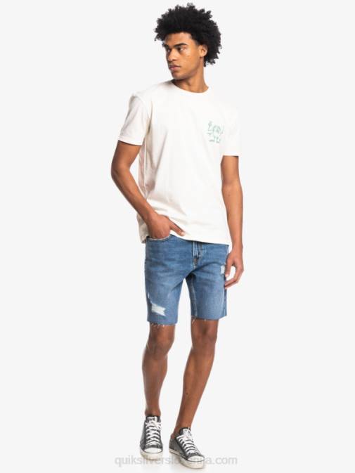 Quiksilver PJ4H1762 moški breza majica s skritim sporočilom