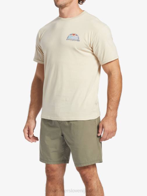 Quiksilver PJ4H38 moški rjavi riž vodna majica s pogledom