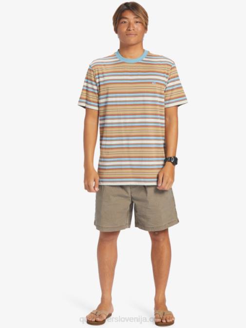 Quiksilver PJ4H631 moški geller taos stripe majica z geller črtami